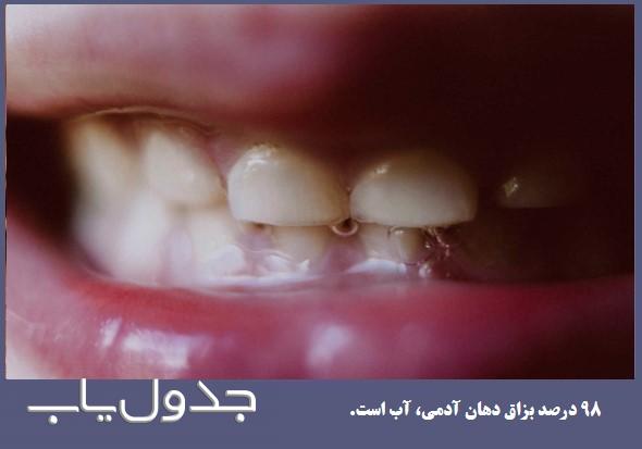بزاق دهان چه تاثیری بر سلامت دندان ها دارد؟