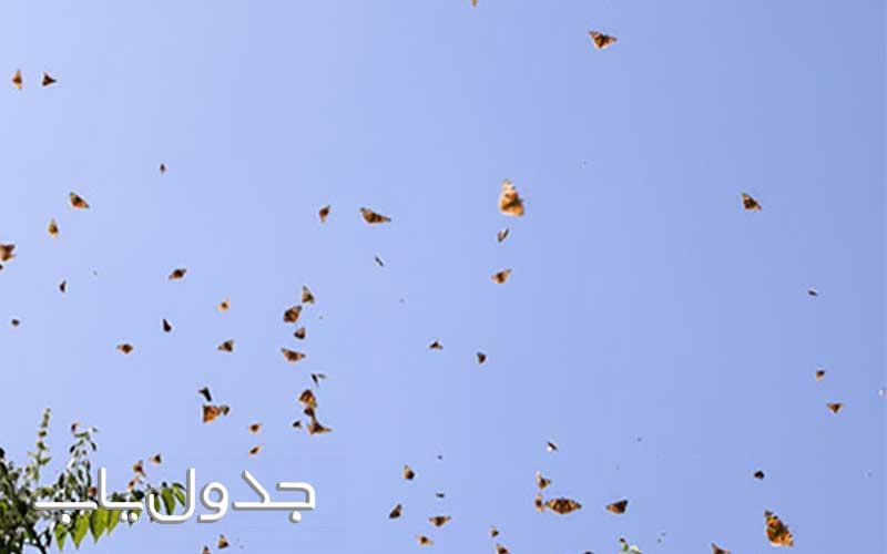  هجوم رنگین بالها به شهر تهران