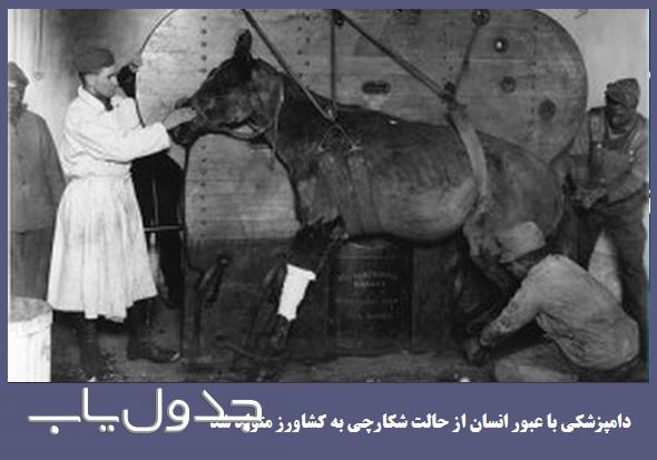نخستین دامپزشک ایرانی کیست؟