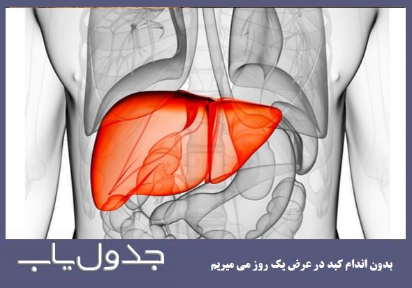 چگونه کبد خود را سالم نگه داریم؟