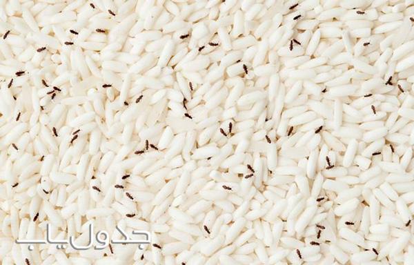 راههای مقابله با شپشک برنج