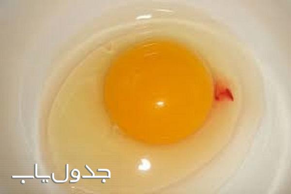 خوردن خون داخل تخم مرغ چه حکمی دارد؟