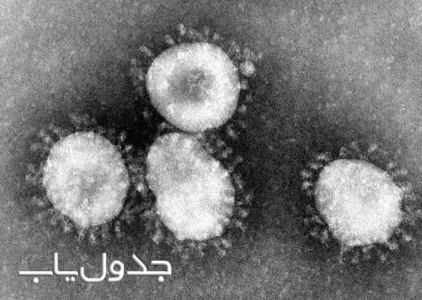 «کروناویروس» ویروس حیوانی ترسناک