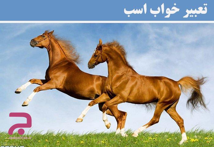 تعبیر خواب اسب