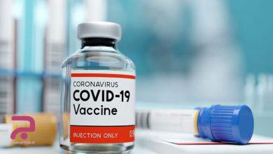 چه کسانی در اولویت دریافت واکسن کرونا هستند ؟