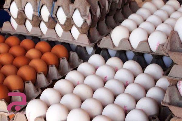 مضرترین تخم مرغ ها کدامند که نباید خورده شوند؟