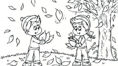 ۶۰ نقاشی کودکانه درباره فصل پاییز برای رنگ آمیزی و ایده