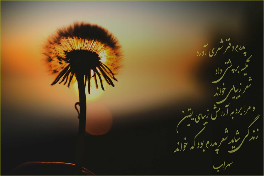 احساسی ترین شعرهای روز پدر از شاعران ایرانی