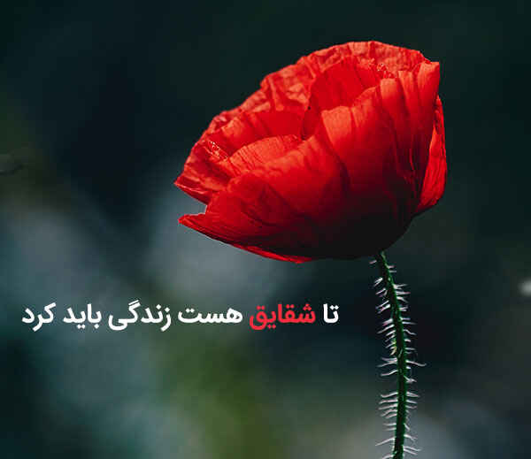 عکس نوشته های زیبا از اشعار سهراب سپهری مخصوص پروفایل