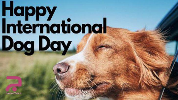 تاریخ دقیق روز جهانی سگ ها در تقویم سال 1401 چه روزی است؟