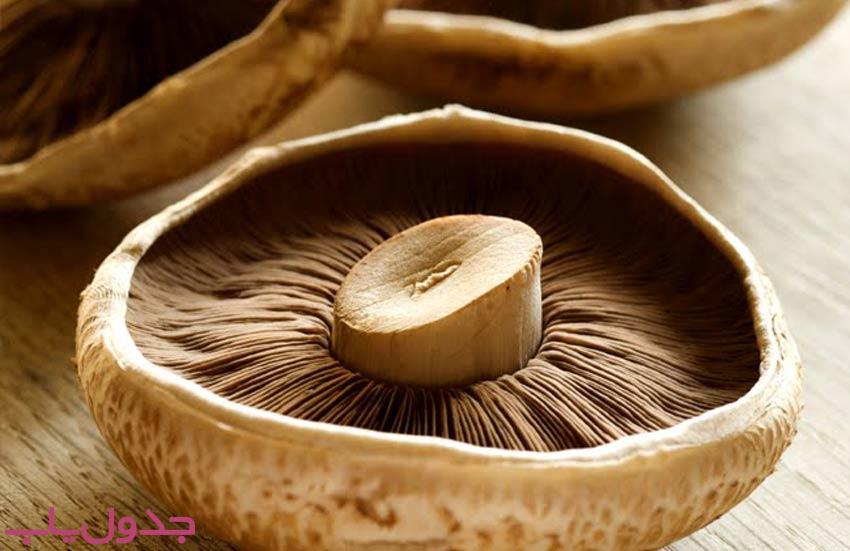انواع مختلف قارچ های خوراکی کدامند و چه کاربردی دارند؟