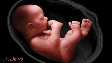 صیغه بارداری چیست و چه قوانینی باید در آن رعایت شود ؟
