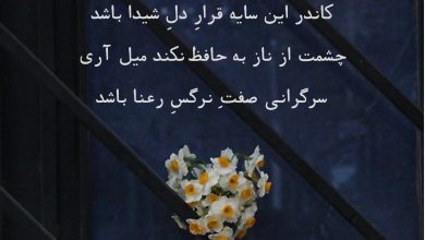 ابیاتی با شروع حرف ظ برای مشاعره