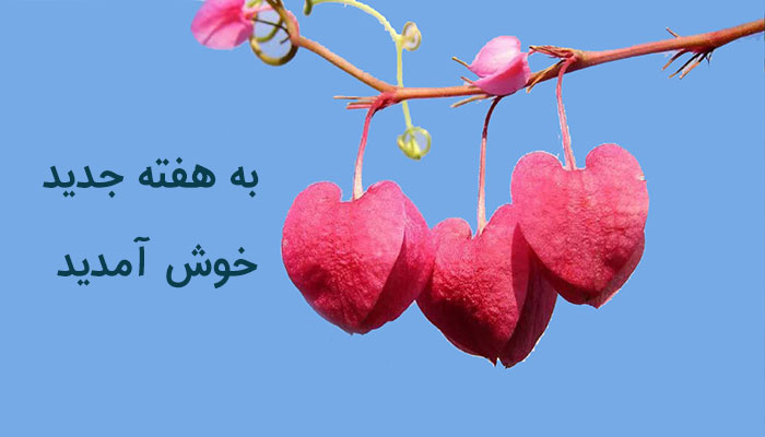 عکس صبح شنبه بخیر عشقم