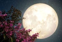 تعبیر خواب ماه / دیدن ماه در خواب نشانه چیست؟
