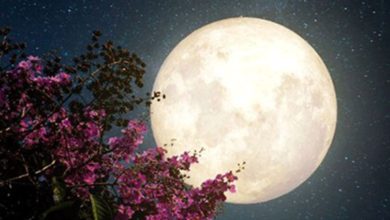 تعبیر خواب ماه / دیدن ماه در خواب نشانه چیست؟