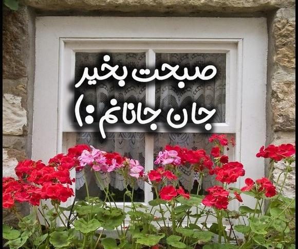 عکس صبح شنبه بخیر عشقم